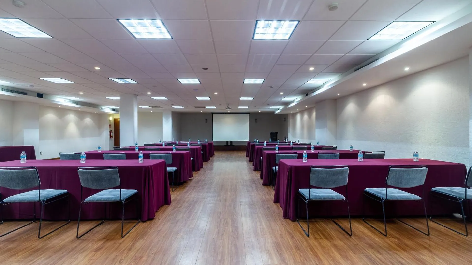 Meson Ejecutivo Guadalajara Minerva - Av Mexico Hotel